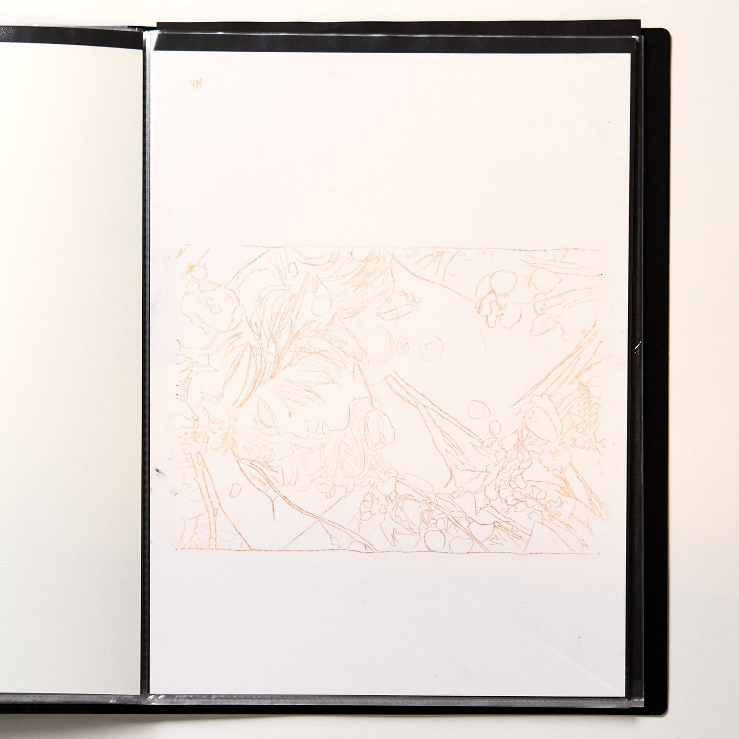 Playboy Peach- Original