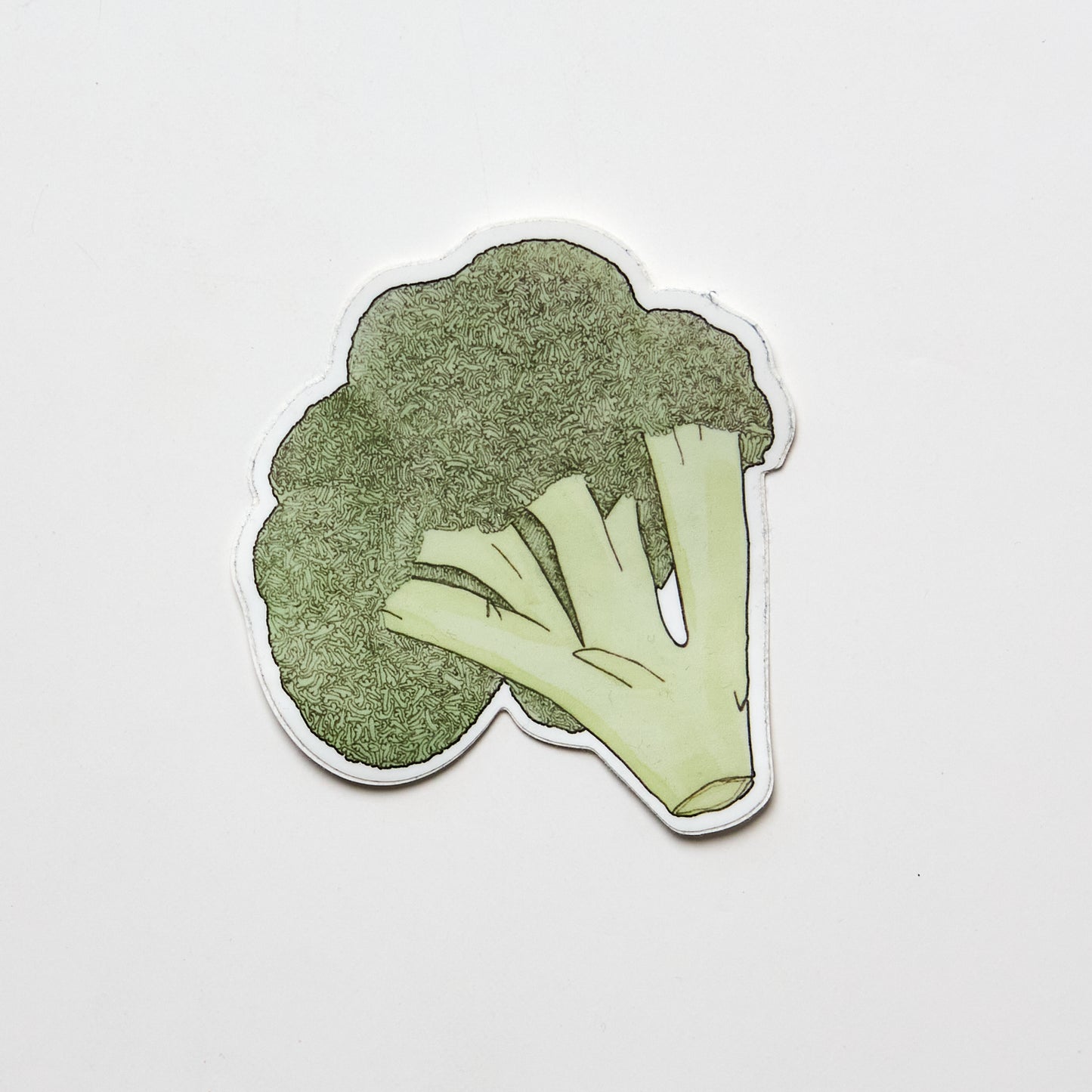Coccoli - Sticker