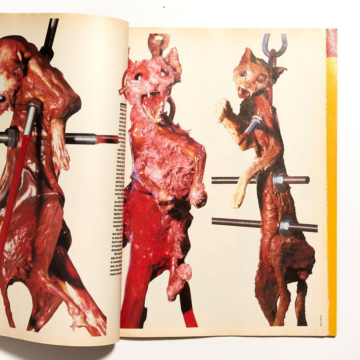 Bizarre - Magazine