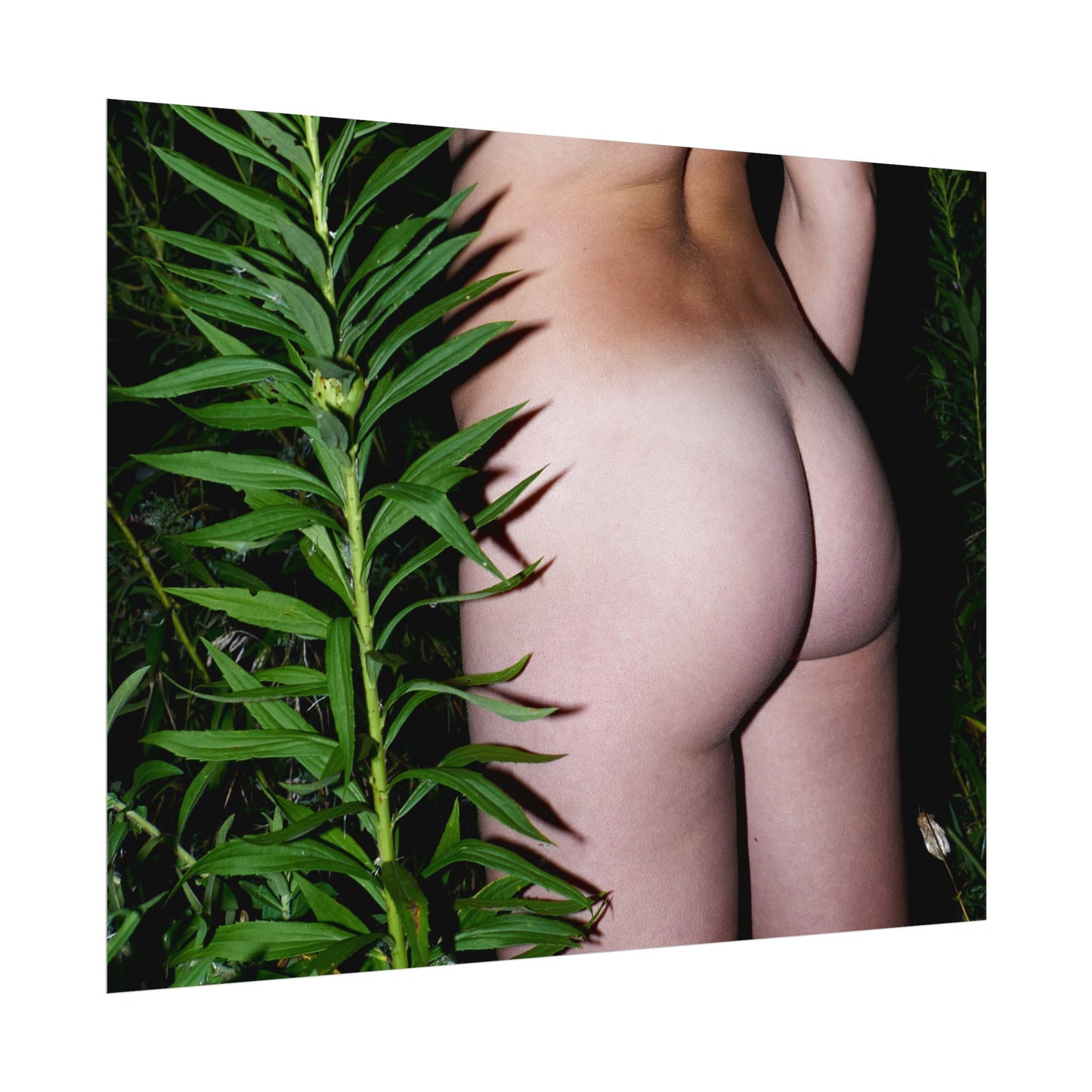 Night-time Tan-lines Butt- Fine Art Print