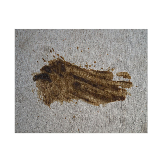 Le Stain - Print