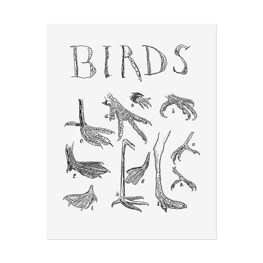 Birds - Print