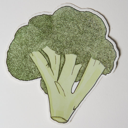 Coccoli - Sticker