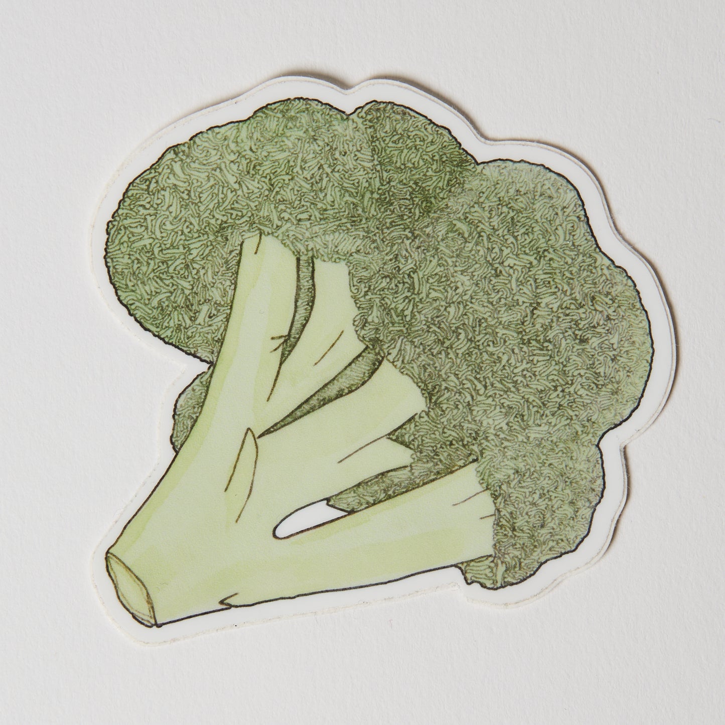 Coccoli - Sticker